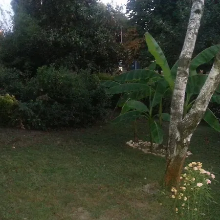 B&B Bhakti Bed & Breakfast *